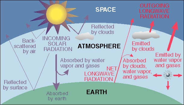 graphs on global warming. global warming and some