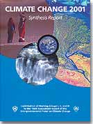 Synthesis Report